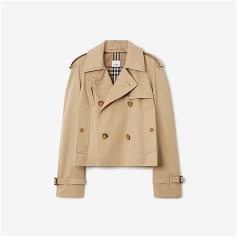 burberry north pole|burberry gabardine.